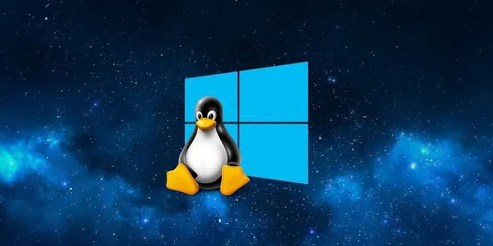 Linux penguin on the windows os logo